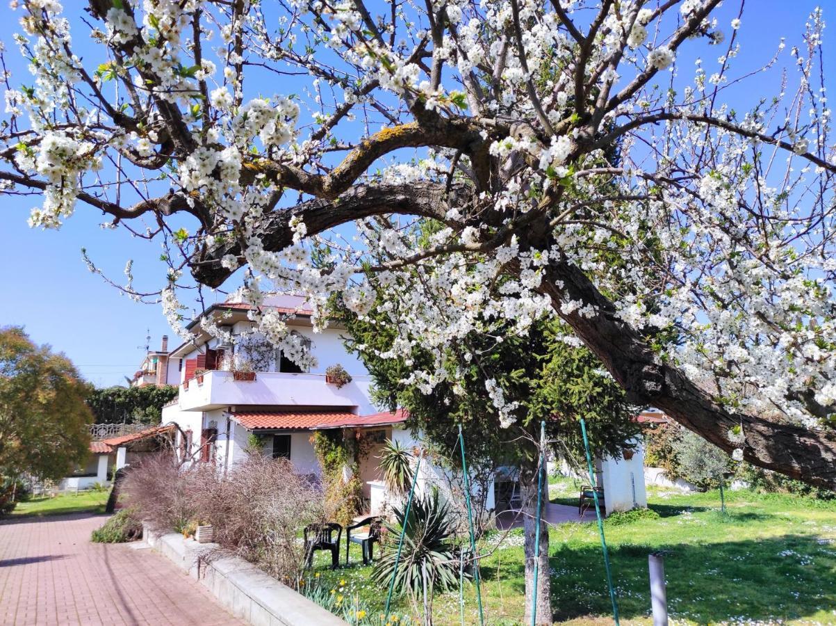 Il Ciliegio Βίλα Palombara Sabina Εξωτερικό φωτογραφία